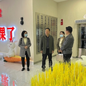 昆明医科大学纪委书记陈文带队赴天天向上开展访企拓岗活动