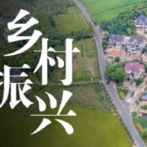 乡村振兴——一张菜单一盘棋
