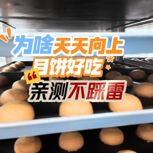天天向上的月饼替你们尝了！好吃！