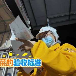 凌晨3点的坚守：直击“天天向上”工厂蔬菜验收第一关